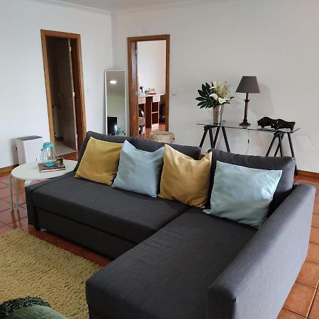 Paraiso Hills - Encostas Do Paraiso: Tranquilidade No Douro Resende Eksteriør billede